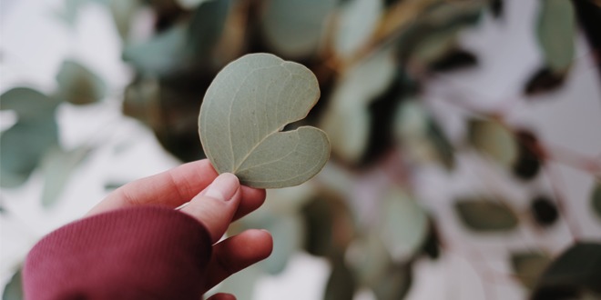 Tutti pazzi per Lyocell: com’è fatto questo incredibile tessuto ecosostenibile