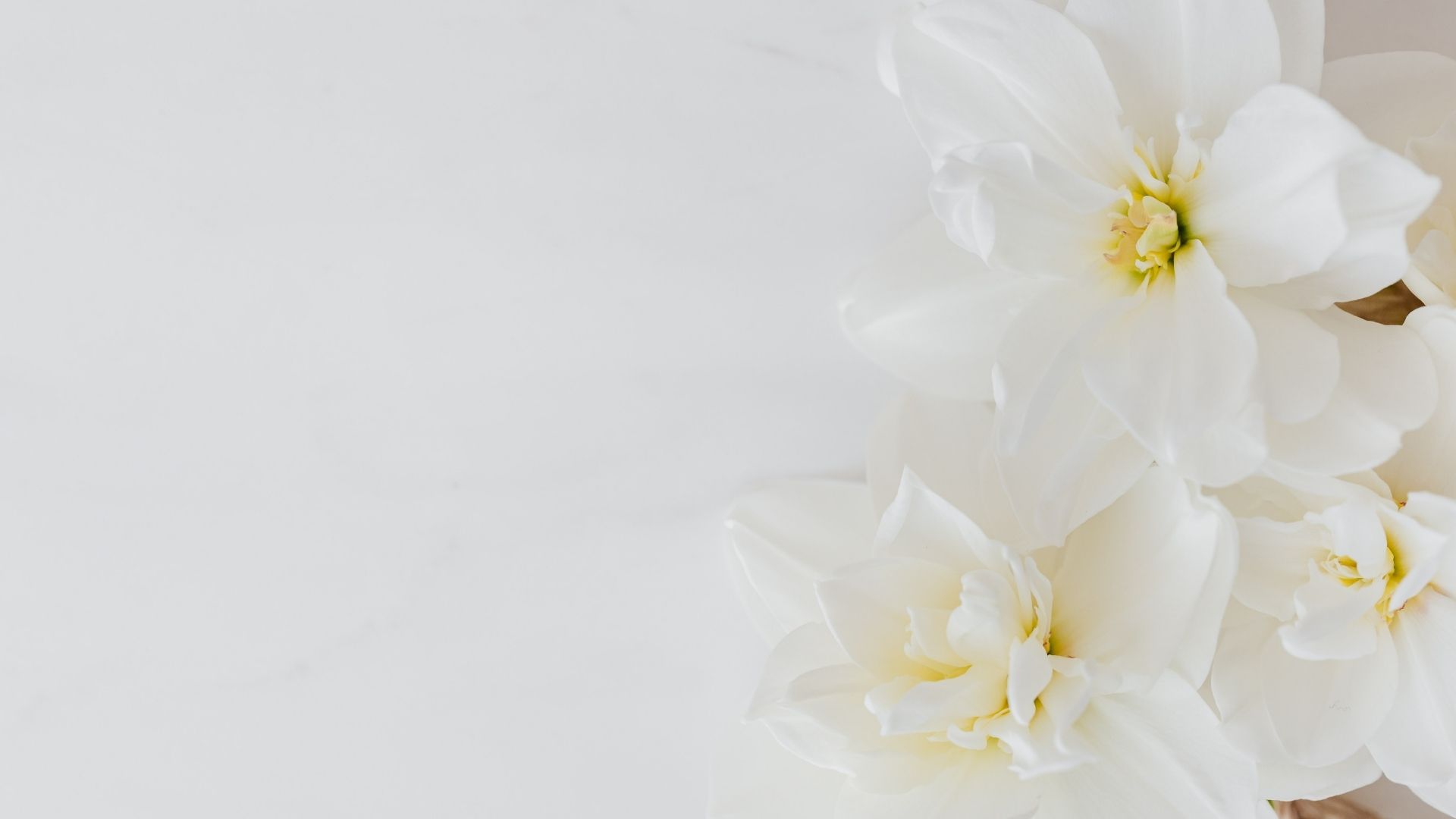 Come eliminare le macchie gialle dalla biancheria bianca